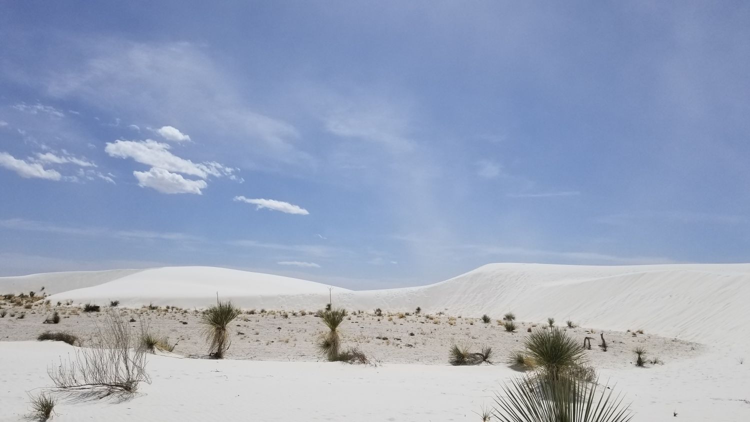 White Sands BackCountry Trail 